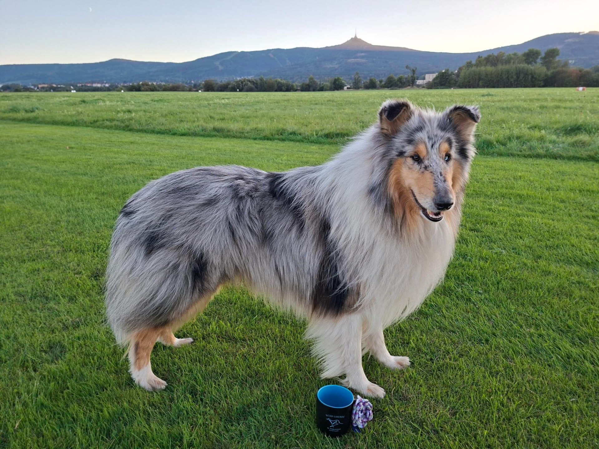 Albert ze Zahrady pod Ještědem