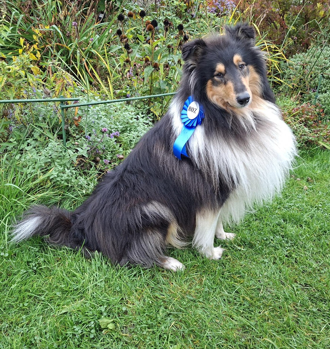 Artuš ze Zahrady pod Ještědem